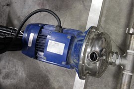 פרוייקט תמרה